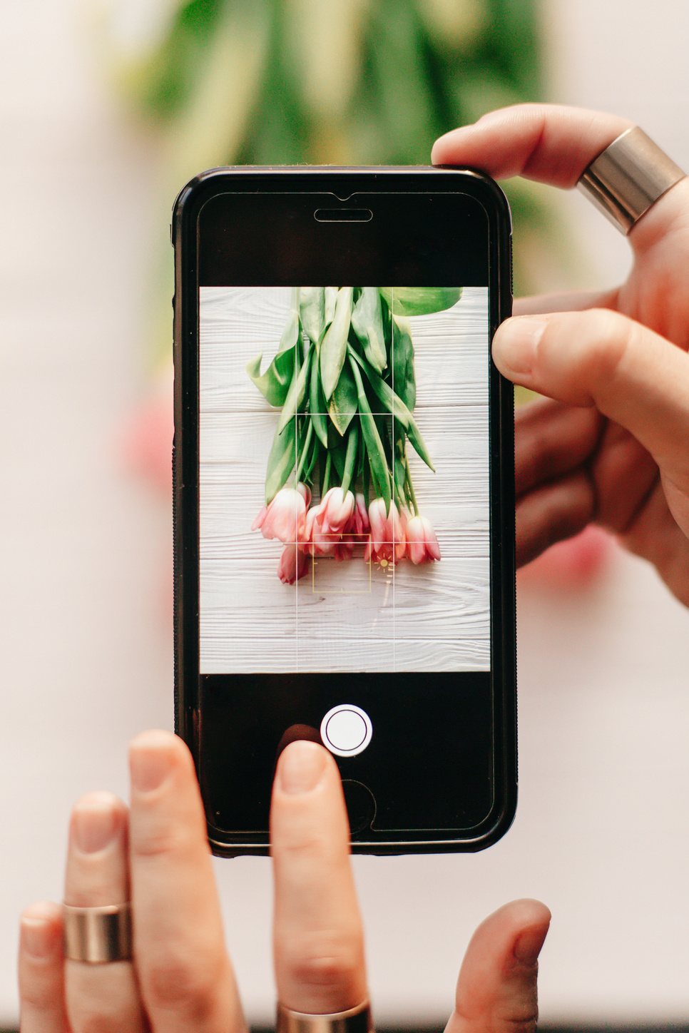 Instagram Photographer, Blogging Workshop Concept. Hand Holding